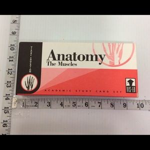 Anatomy-The Muscles Study Card Set